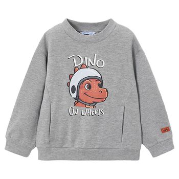 Boys Grey Dino Sweatshirt