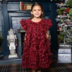 Girls Burgundy 3D Flower & Sequin Ivy Dress, 2, hi-res