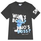 Boys Grey Smurfs T-Shirt, 1, hi-res