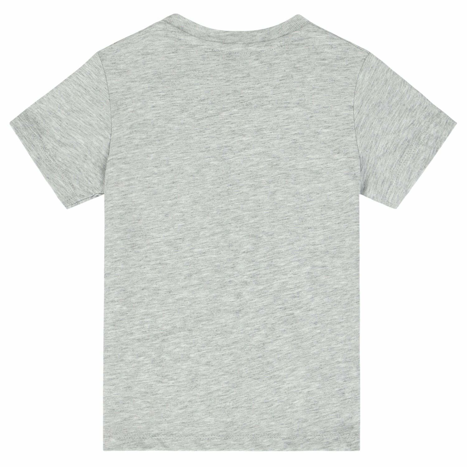 Younger Boys Grey Tiger T-Shirt, 1, hi-res