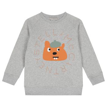 Boys Grey Squirrel Sweatshirt
