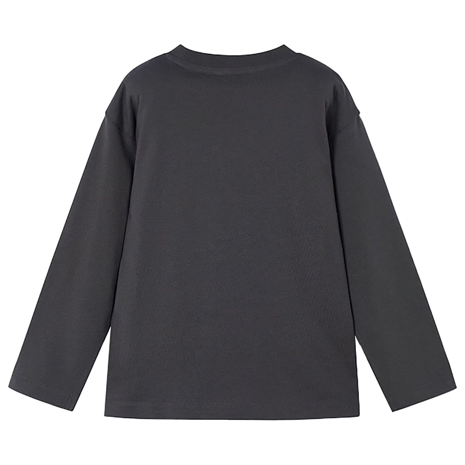 Boys Grey Dinosaur Long Sleeve Top, 1, hi-res