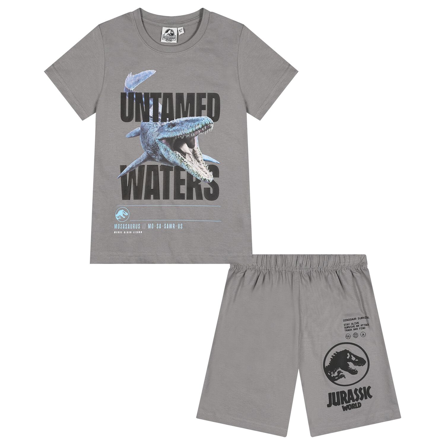 Boys Grey Jurassic Shorts Set, 1, hi-res