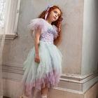 Girls Blue & Lilac Embellished Tulle Dress, 1, hi-res