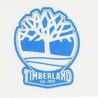 Boys White & Blue Logo Shorts Set, 1, hi-res