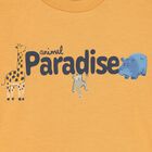 Younger Boys White, Orange & Blue Shorts Set, 2, hi-res