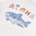 Younger Boys White Shark Cotton T-Shirt, 1, hi-res