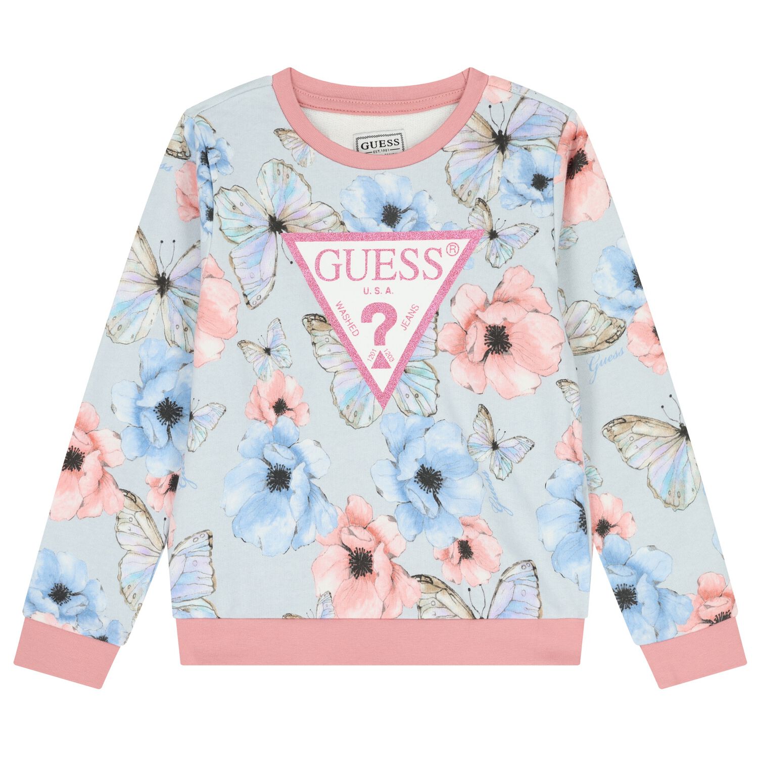 Girls Blue & Pink Floral Butterfly Logo Sweatshirt, 2, hi-res