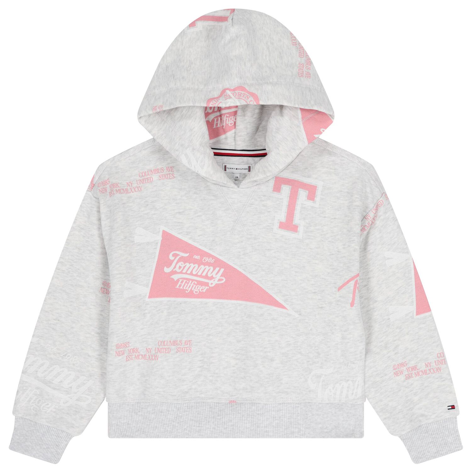 Girls Grey & Pink Logo Hooded Top, 1, hi-res image number null