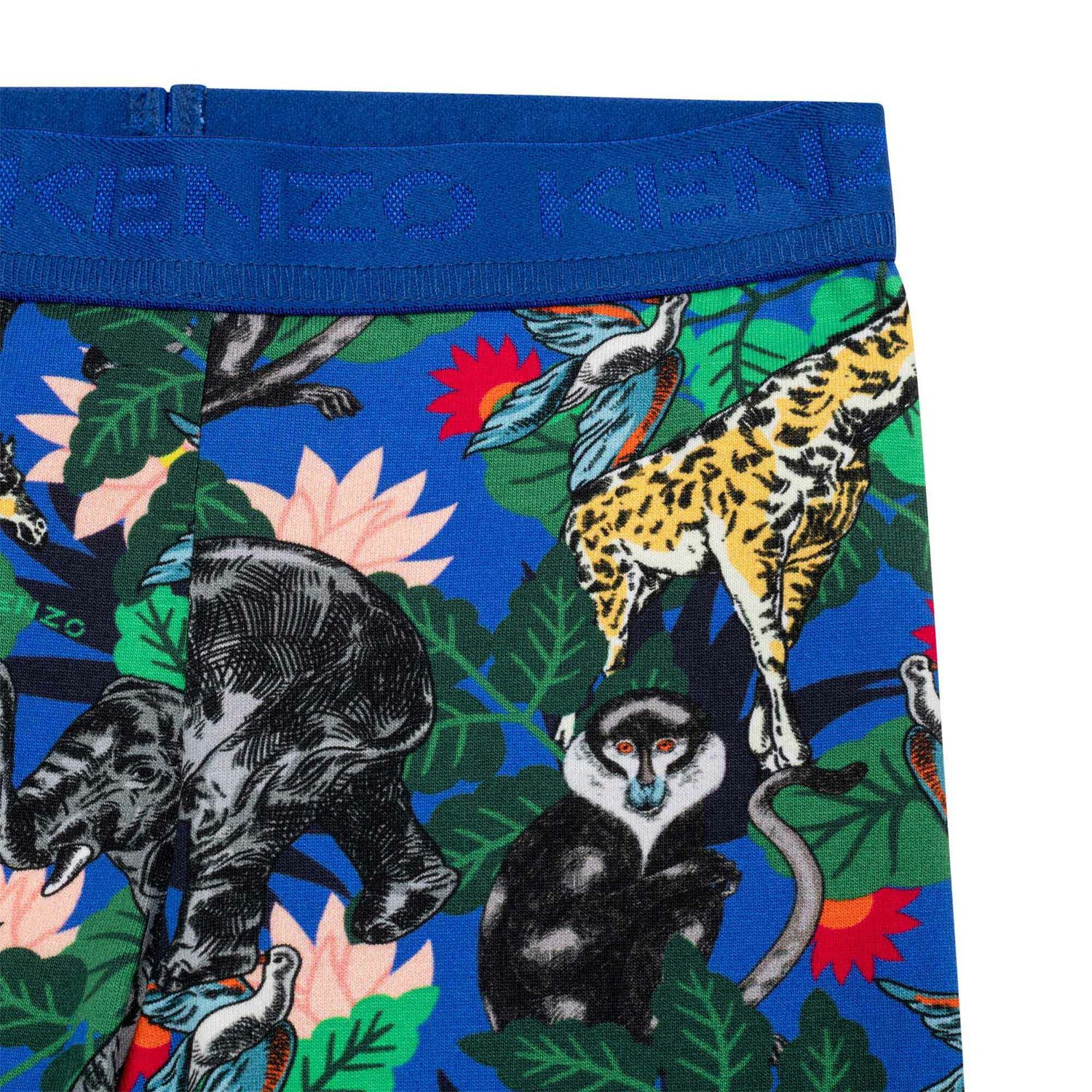 Girls Blue Jungle Leggings, 1, hi-res