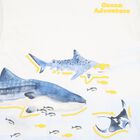 Boys White & Blue Shark Shorts Set, 1, hi-res