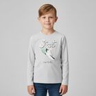 Boys Grey Long Sleeve Top, 2, hi-res