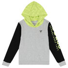 Boys Grey & Neon Green Logo Hooded Top, 1, hi-res