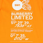 Boys Orange Logo Cotton T-Shirt, 2, hi-res