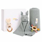Pale Green Baby Blanket & Bunny Comforter Gift Set, 2, hi-res