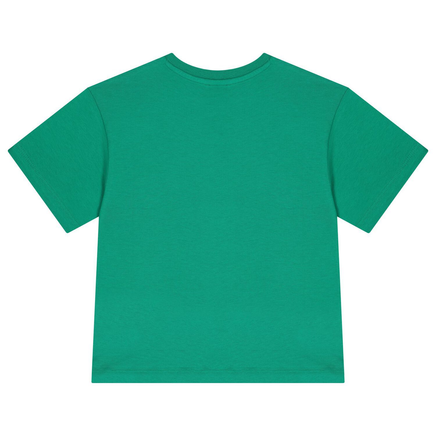 Boys Green Tiger T-Shirt, 1, hi-res