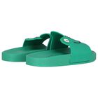 Green Frog Sliders, 1, hi-res