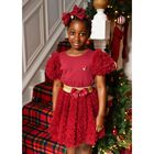 Girls Burgundy & Gold Tulle Skirt, 2, hi-res