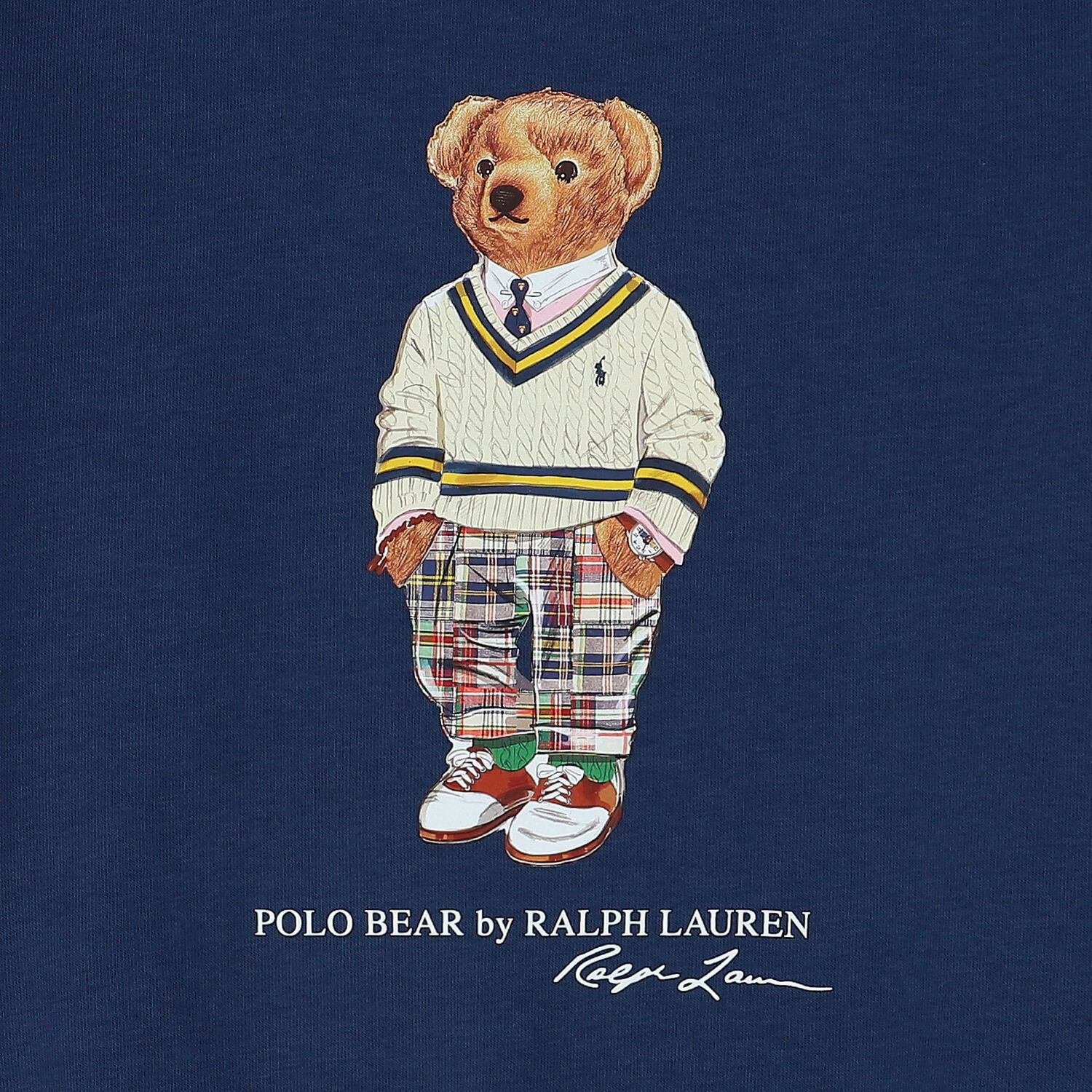 Boys Navy Blue Polo Bear Sweatshirt, 1, hi-res