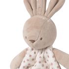 Ivory & Beige Squirrel Baby Doudou Comforter, 1, hi-res
