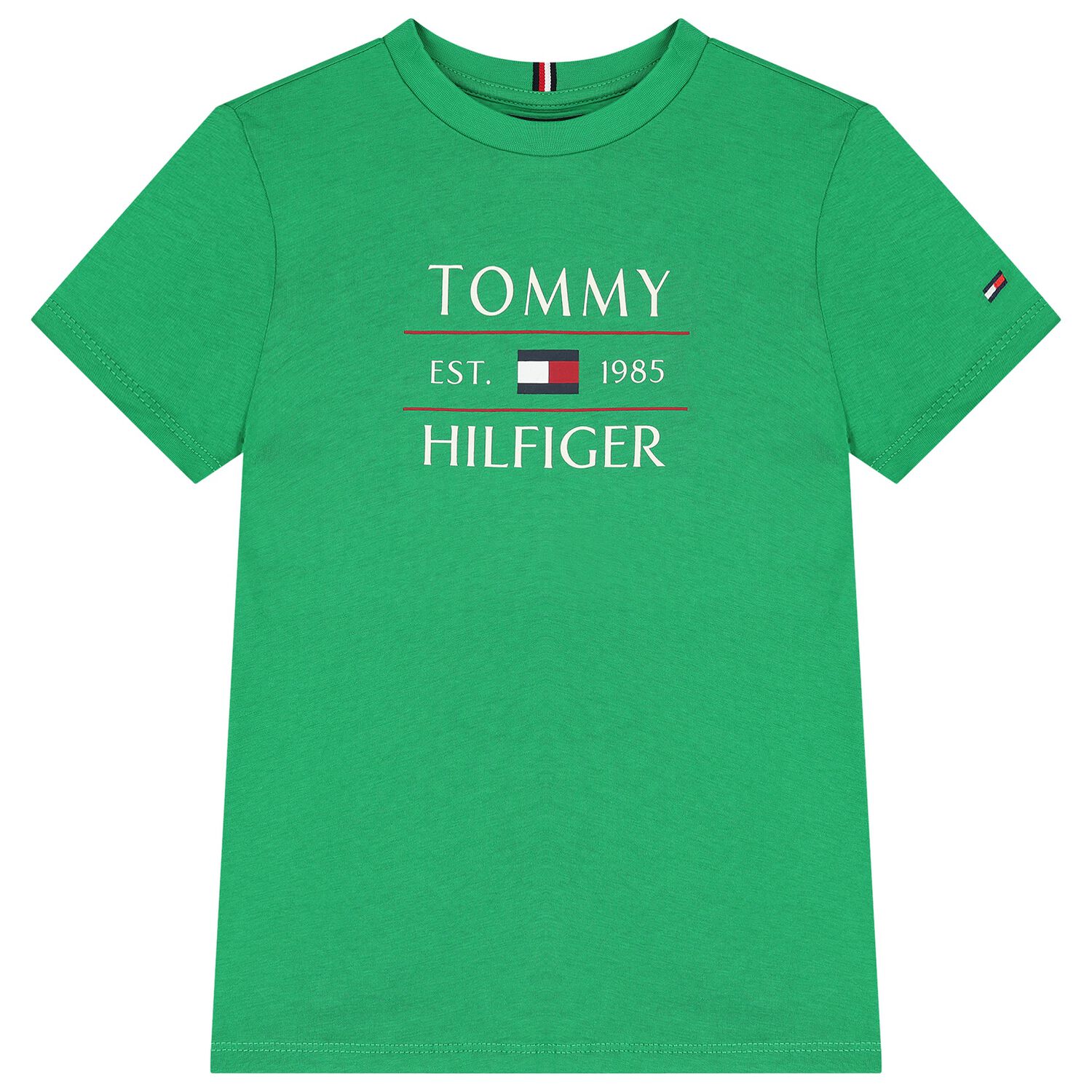 Boys Green Flag Logo Cotton T-Shirt, 3, hi-res