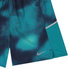 Boys Navy Blue & Green Miller Dri-FIT Shorts, 2, hi-res