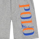 Boys Grey Logo Shorts, 1, hi-res