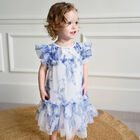 Baby Girls White & Blue Floral Tulle Dress, 1, hi-res