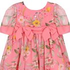 Baby Girls Pink Floral Chiffon Dress, 1, hi-res