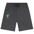 Boys Grey Shorts, 3, hi-res