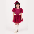 Girls Burgundy & Gold Tulle Skirt, 2, hi-res