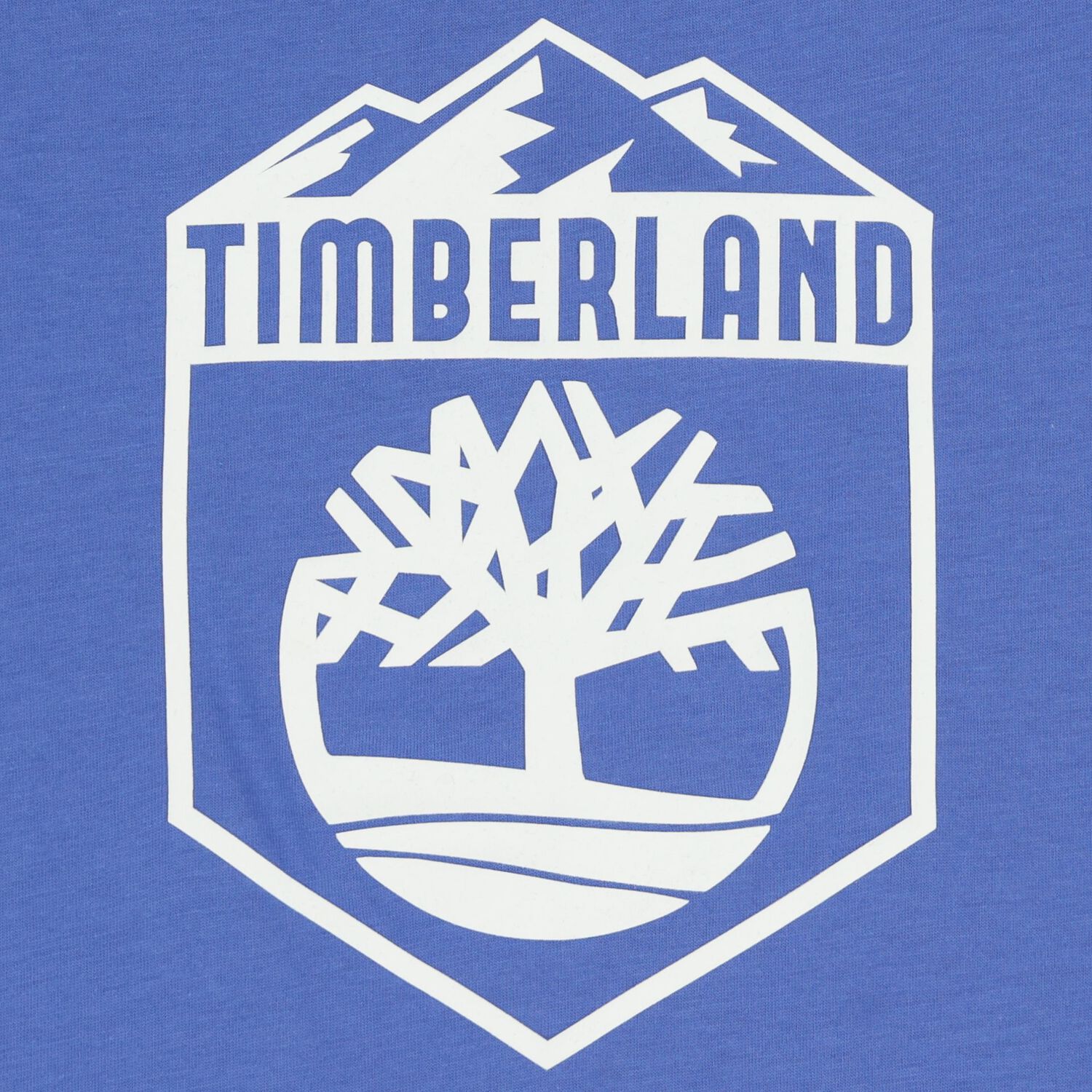 Boys Blue Logo T-Shirt, 1, hi-res