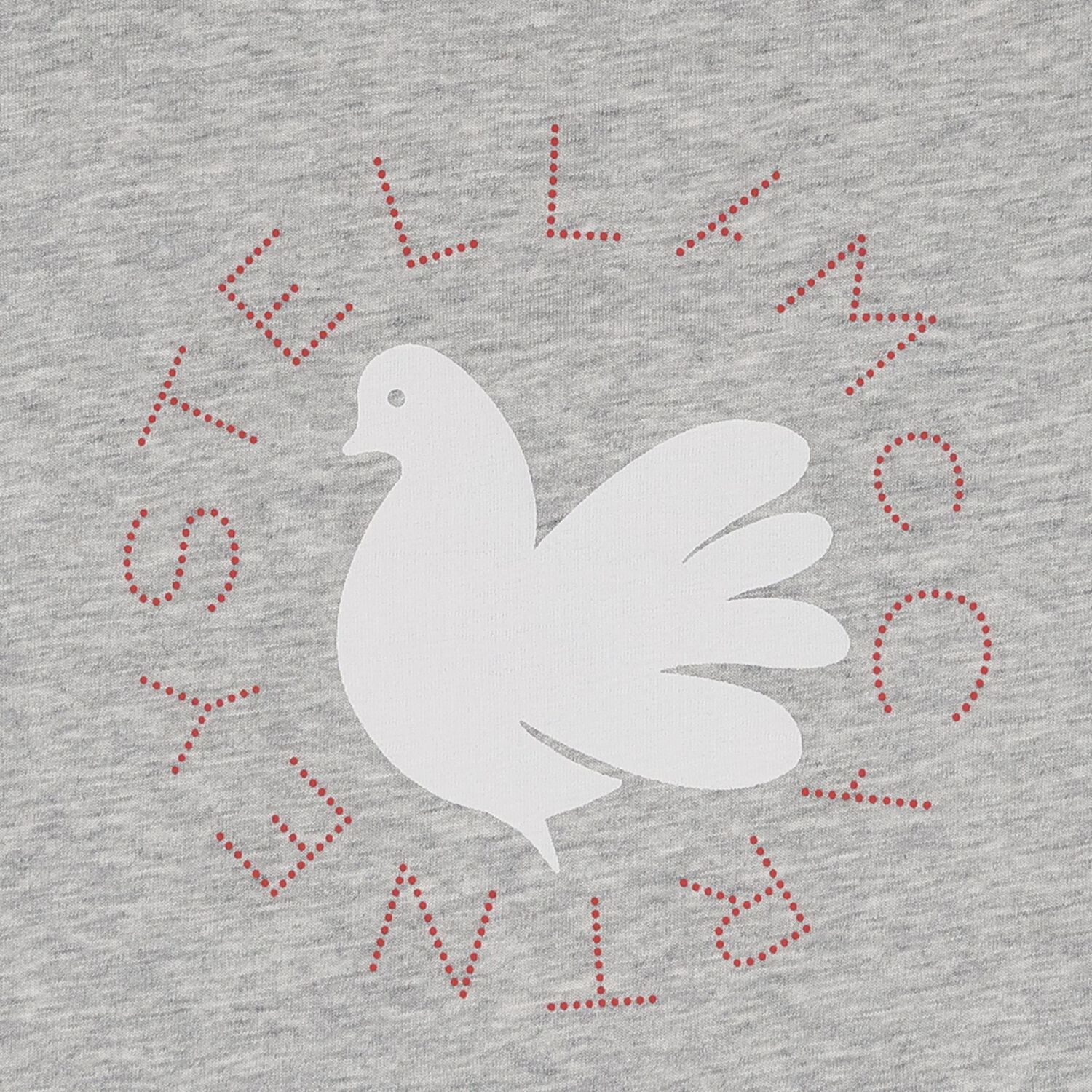 Younger Boys Grey Dove Logo T-Shirt, 1, hi-res