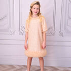 Girls Pink Embellished Dress, 1, hi-res