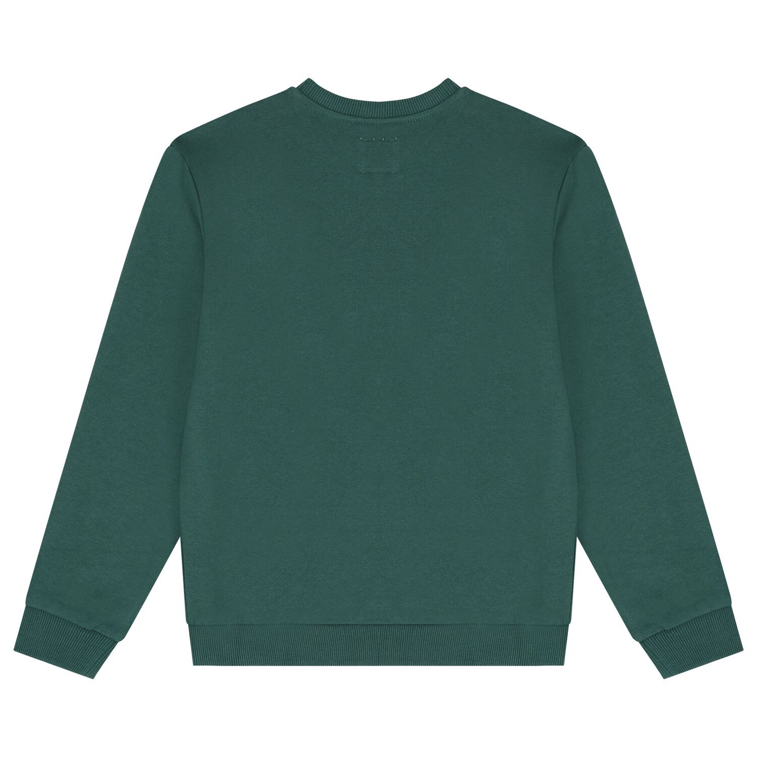 Boys Green Teddy Bear Logo Sweatshirt, 1, hi-res